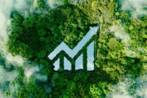 “蛋”说无妨：供需矛盾压制10月盈利 11月收入仍难改善